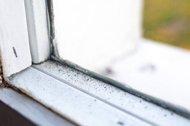 Best Indoor Air Quality Assessment  in Indiantown, FL