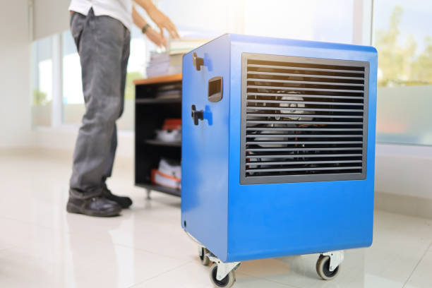 Best Mold-Related Health Consultation  in Indiantown, FL