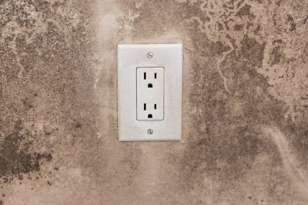 Best Asbestos and Lead Testing During Mold Inspection  in Indiantown, FL