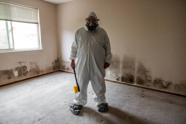 Professional Mold Removal in Indiantown, FL